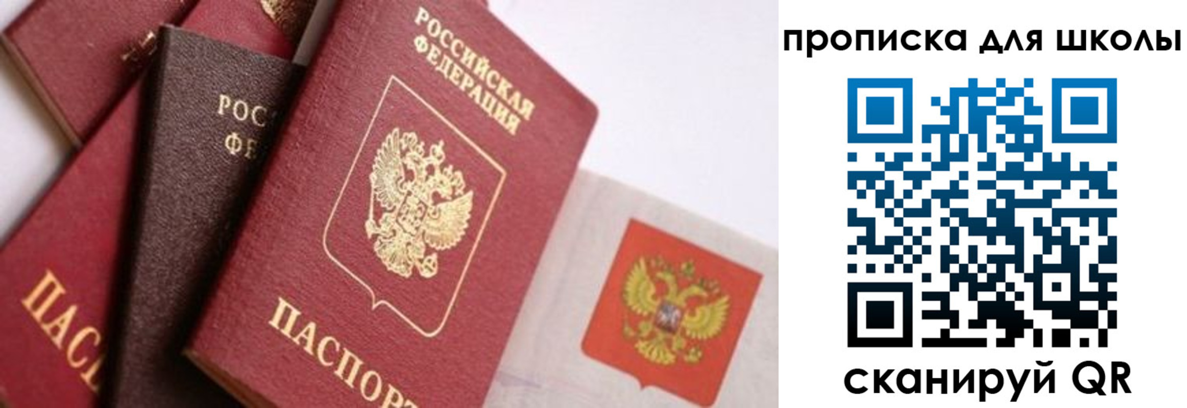 прописка поиск в Острове